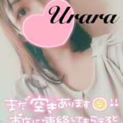 ヒメ日記 2025/03/24 22:45 投稿 うらら 奥鉄オクテツ東京店（デリヘル市場）