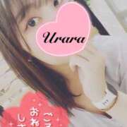 ヒメ日記 2025/04/13 12:00 投稿 うらら 奥鉄オクテツ東京店（デリヘル市場）