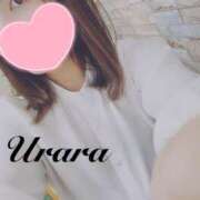 ヒメ日記 2025/04/15 08:00 投稿 うらら 奥鉄オクテツ東京店（デリヘル市場）