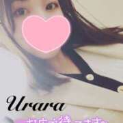 ヒメ日記 2025/04/22 14:00 投稿 うらら 奥鉄オクテツ東京店（デリヘル市場）