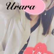 ヒメ日記 2025/04/26 08:05 投稿 うらら 奥鉄オクテツ東京店（デリヘル市場）