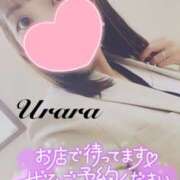 ヒメ日記 2025/04/28 18:05 投稿 うらら 奥鉄オクテツ東京店（デリヘル市場）