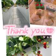 ヒメ日記 2025/04/30 14:00 投稿 うらら 奥鉄オクテツ東京店（デリヘル市場）