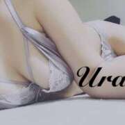 ヒメ日記 2025/05/15 08:10 投稿 うらら 奥鉄オクテツ東京店（デリヘル市場）