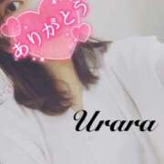 ヒメ日記 2025/05/21 17:35 投稿 うらら 奥鉄オクテツ東京店（デリヘル市場）