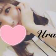 ヒメ日記 2025/05/30 11:50 投稿 うらら 奥鉄オクテツ東京店（デリヘル市場）