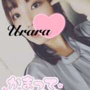 ヒメ日記 2025/06/17 08:00 投稿 うらら 奥鉄オクテツ東京店（デリヘル市場）