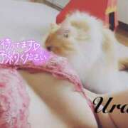 ヒメ日記 2025/06/28 08:00 投稿 うらら 奥鉄オクテツ東京店（デリヘル市場）