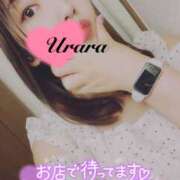 ヒメ日記 2025/06/28 23:00 投稿 うらら 奥鉄オクテツ東京店（デリヘル市場）