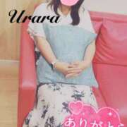 ヒメ日記 2025/07/12 19:20 投稿 うらら 奥鉄オクテツ東京店（デリヘル市場）