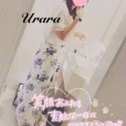 ヒメ日記 2025/07/13 08:05 投稿 うらら 奥鉄オクテツ東京店（デリヘル市場）