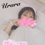 ヒメ日記 2025/07/21 12:00 投稿 うらら 奥鉄オクテツ東京店（デリヘル市場）