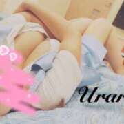 ヒメ日記 2025/08/04 19:55 投稿 うらら 奥鉄オクテツ東京店（デリヘル市場）