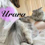 ヒメ日記 2025/08/20 08:00 投稿 うらら 奥鉄オクテツ東京店（デリヘル市場）