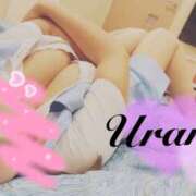 ヒメ日記 2025/08/24 21:00 投稿 うらら 奥鉄オクテツ東京店（デリヘル市場）