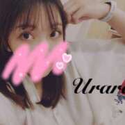 ヒメ日記 2025/08/28 08:00 投稿 うらら 奥鉄オクテツ東京店（デリヘル市場）