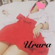 ヒメ日記 2025/09/22 08:00 投稿 うらら 奥鉄オクテツ東京店（デリヘル市場）