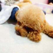 ヒメ日記 2025/10/06 21:00 投稿 うらら 奥鉄オクテツ東京店（デリヘル市場）