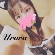 ヒメ日記 2025/10/19 08:00 投稿 うらら 奥鉄オクテツ東京店（デリヘル市場）