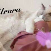 ヒメ日記 2025/10/29 21:00 投稿 うらら 奥鉄オクテツ東京店（デリヘル市場）