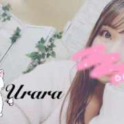 ヒメ日記 2025/11/11 08:10 投稿 うらら 奥鉄オクテツ東京店（デリヘル市場）