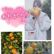 ヒメ日記 2025/11/15 20:00 投稿 うらら 奥鉄オクテツ東京店（デリヘル市場）