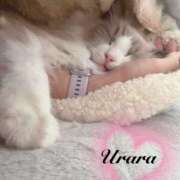 ヒメ日記 2025/11/19 08:05 投稿 うらら 奥鉄オクテツ東京店（デリヘル市場）