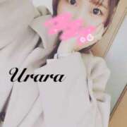 ヒメ日記 2025/11/20 08:05 投稿 うらら 奥鉄オクテツ東京店（デリヘル市場）