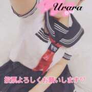 ヒメ日記 2025/11/23 12:05 投稿 うらら 奥鉄オクテツ東京店（デリヘル市場）