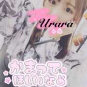 ヒメ日記 2025/11/26 08:05 投稿 うらら 奥鉄オクテツ東京店（デリヘル市場）