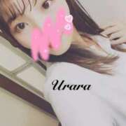 ヒメ日記 2025/11/29 12:00 投稿 うらら 奥鉄オクテツ東京店（デリヘル市場）