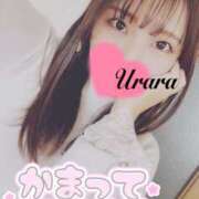 ヒメ日記 2025/12/01 08:00 投稿 うらら 奥鉄オクテツ東京店（デリヘル市場）