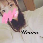 ヒメ日記 2025/12/13 11:00 投稿 うらら 奥鉄オクテツ東京店（デリヘル市場）