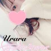 ヒメ日記 2025/12/31 21:00 投稿 うらら 奥鉄オクテツ東京店（デリヘル市場）