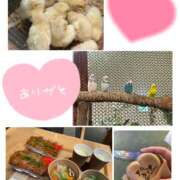 ヒメ日記 2026/01/10 21:30 投稿 うらら 奥鉄オクテツ東京店（デリヘル市場）