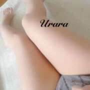 ヒメ日記 2026/01/20 14:00 投稿 うらら 奥鉄オクテツ東京店（デリヘル市場）