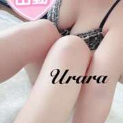 ヒメ日記 2026/01/26 08:00 投稿 うらら 奥鉄オクテツ東京店（デリヘル市場）