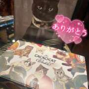 ヒメ日記 2026/02/04 18:00 投稿 うらら 奥鉄オクテツ東京店（デリヘル市場）