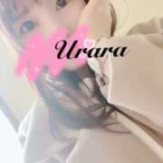 ヒメ日記 2026/02/23 10:00 投稿 うらら 奥鉄オクテツ東京店（デリヘル市場）