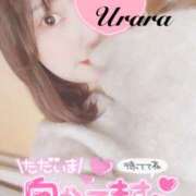 ヒメ日記 2024/12/10 10:30 投稿 うらら 奥鉄オクテツ神奈川店（デリヘル市場グループ）