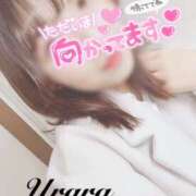 ヒメ日記 2024/12/14 12:00 投稿 うらら 奥鉄オクテツ神奈川店（デリヘル市場グループ）