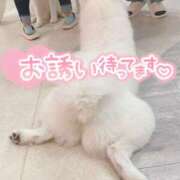 ヒメ日記 2024/12/17 18:30 投稿 うらら 奥鉄オクテツ神奈川店（デリヘル市場グループ）