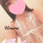 ヒメ日記 2025/02/11 08:15 投稿 うらら 奥鉄オクテツ神奈川店（デリヘル市場グループ）