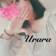 ヒメ日記 2025/02/15 22:00 投稿 うらら 奥鉄オクテツ神奈川店（デリヘル市場グループ）