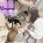 ヒメ日記 2025/03/11 08:00 投稿 うらら 奥鉄オクテツ神奈川店（デリヘル市場グループ）