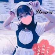 ヒメ日記 2025/03/21 08:05 投稿 うらら 奥鉄オクテツ神奈川店（デリヘル市場グループ）