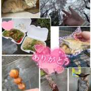 ヒメ日記 2025/03/29 20:30 投稿 うらら 奥鉄オクテツ神奈川店（デリヘル市場グループ）