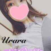 ヒメ日記 2025/04/05 12:00 投稿 うらら 奥鉄オクテツ神奈川店（デリヘル市場グループ）