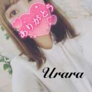 ヒメ日記 2025/04/12 20:00 投稿 うらら 奥鉄オクテツ神奈川店（デリヘル市場グループ）