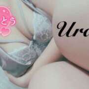 ヒメ日記 2025/04/29 19:30 投稿 うらら 奥鉄オクテツ神奈川店（デリヘル市場グループ）